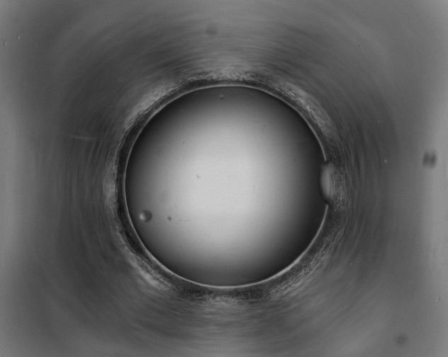 X0000102220677200807251211