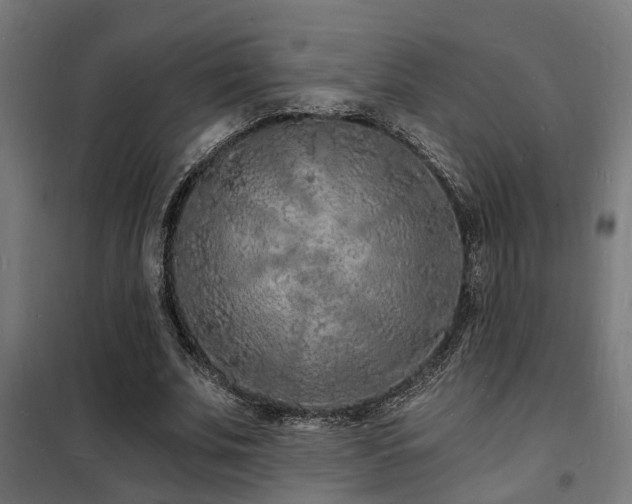 X0000102220679200807251211