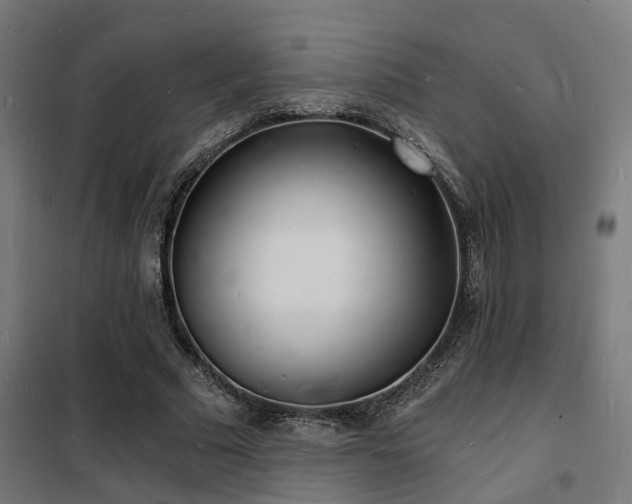 X0000102220681200807251211