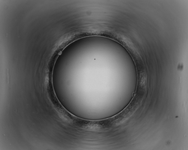 X0000102220685200807251211