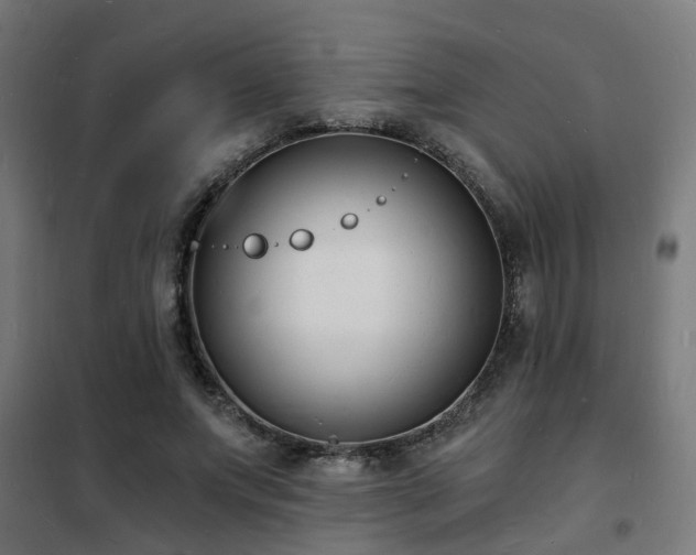 X0000102220687200807251211