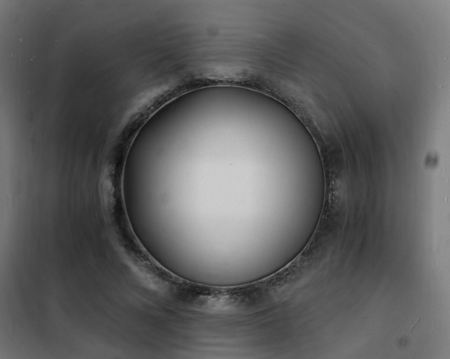 X0000102220688200807251211