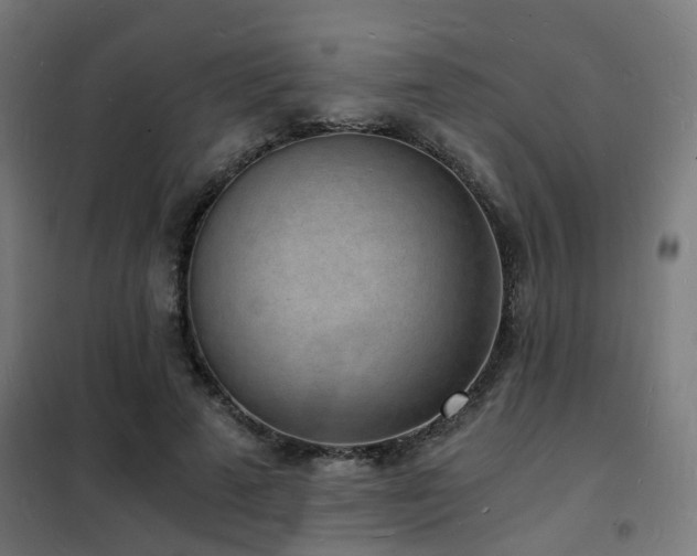 X0000102220689200807251211