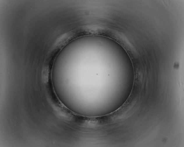 X0000102220694200807251211