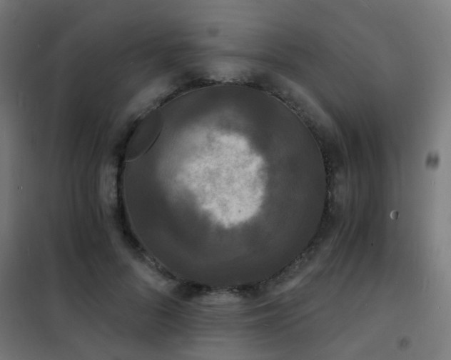 X0000102220696200807251211