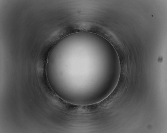 X0000102220697200807251211