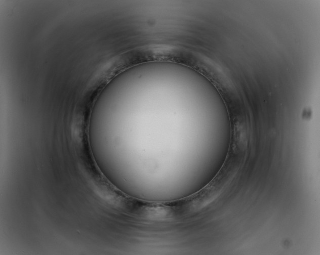 X0000102220698200807251211