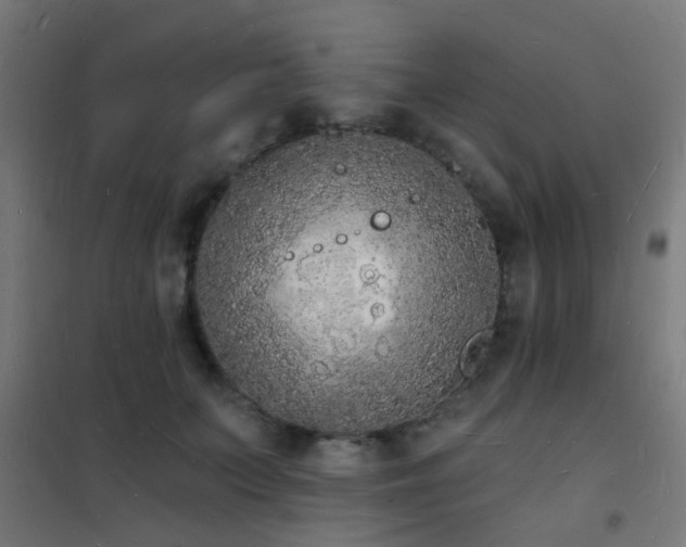 X0000102220703200807251211