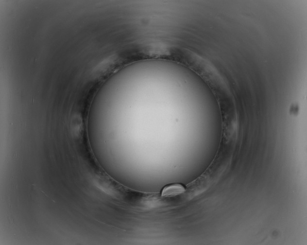 X0000102220704200807251211