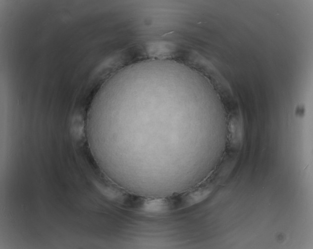 X0000102220705200807251211