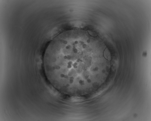 X0000102220707200807251211