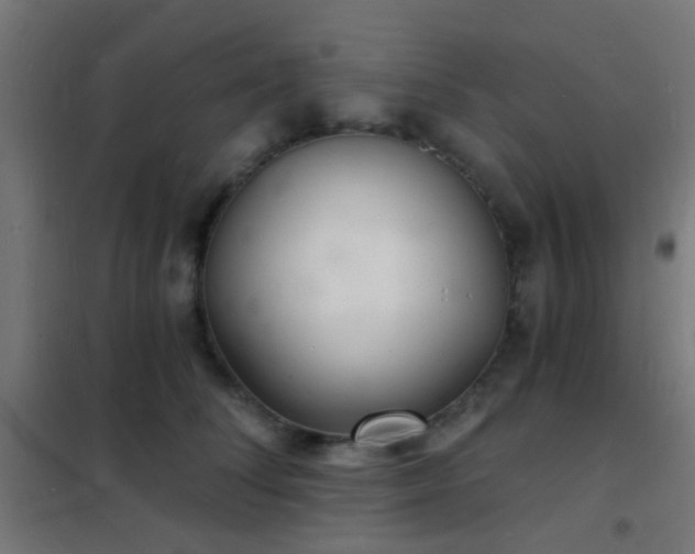 X0000102220708200807251211