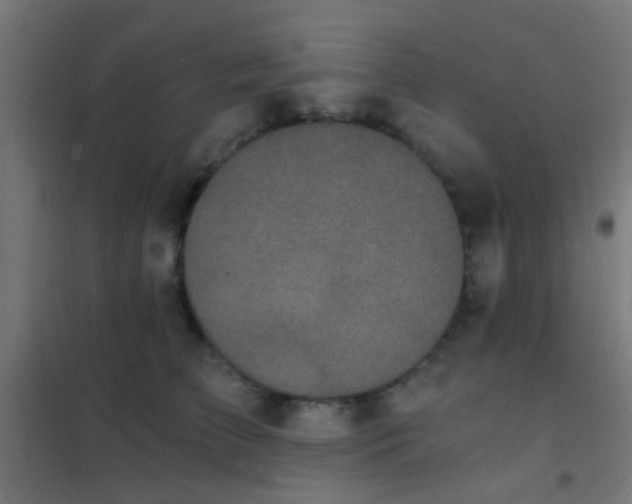 X0000102220709200807251211