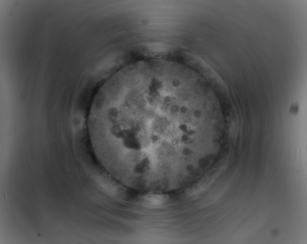 X0000102220711200807251211