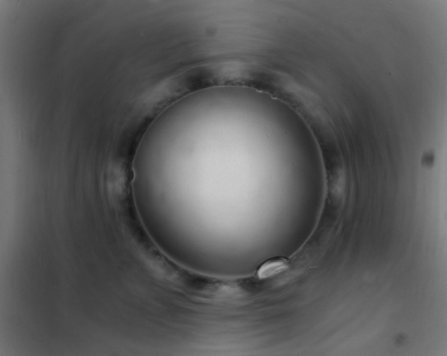 X0000102220715200807251211