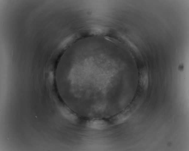 X0000102220716200807251211