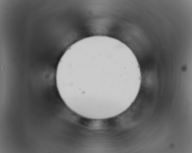 X0000102220717200807251211