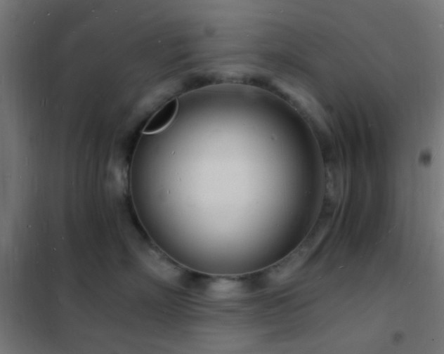 X0000102220718200807251211