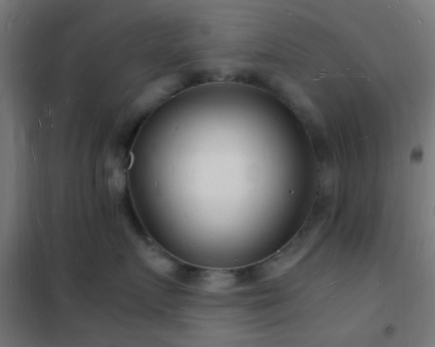 X0000102220719200807251211