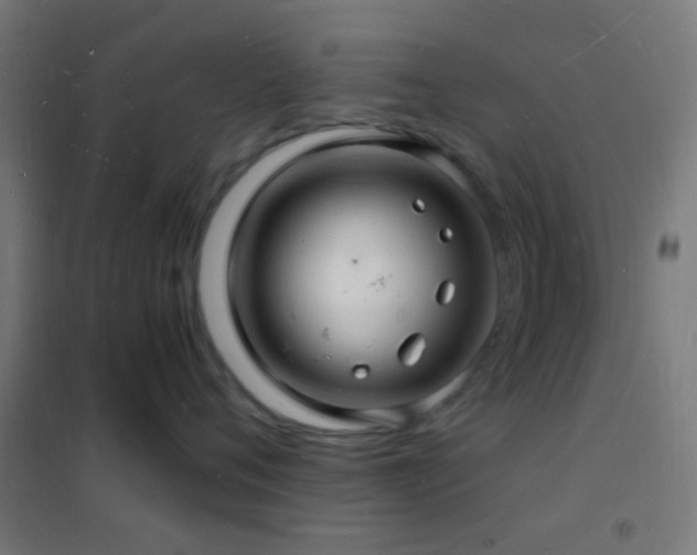 X0000102220720200807251211