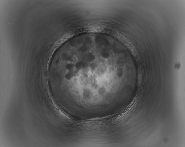 X0000102220721200807251210