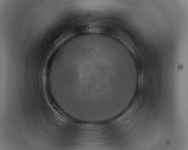 X0000102220722200807251210