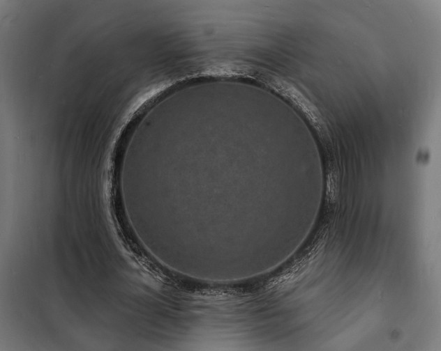 X0000102220724200807251210