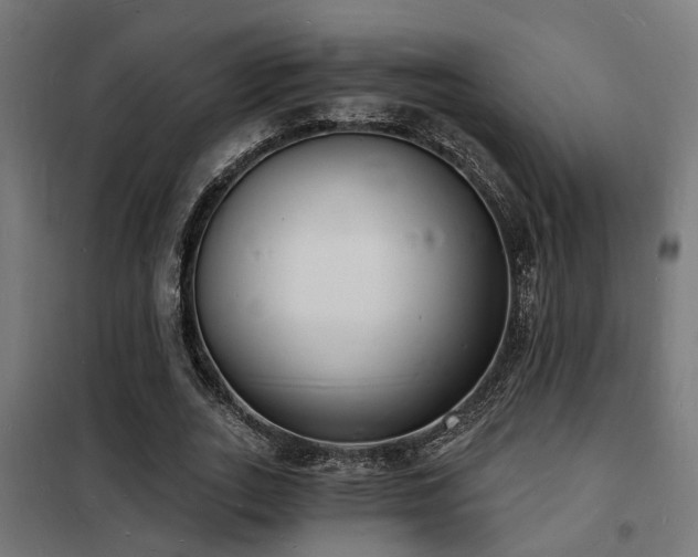 X0000102220727200807251210