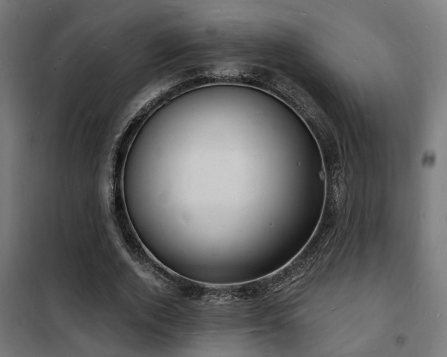 X0000102220728200807251210