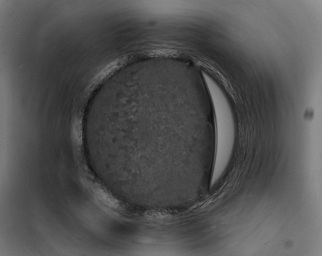 X0000102220729200807251210