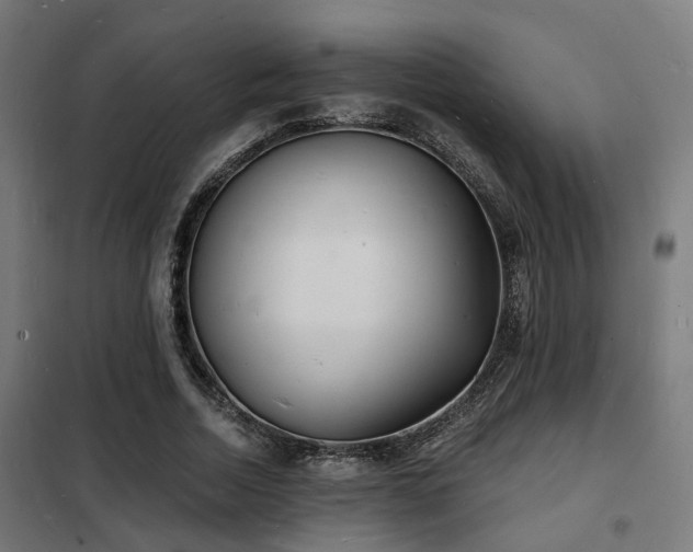 X0000102220730200807251210