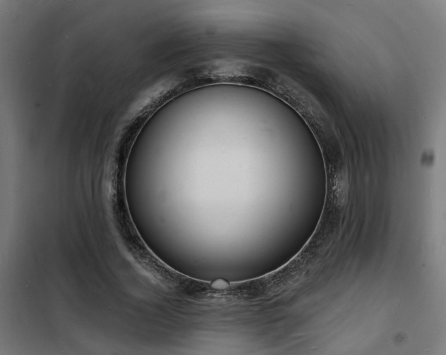 X0000102220732200807251210