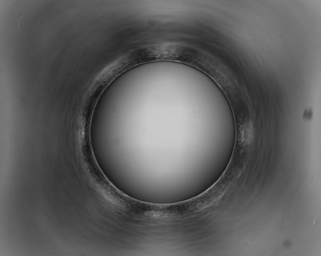 X0000102220733200807251210