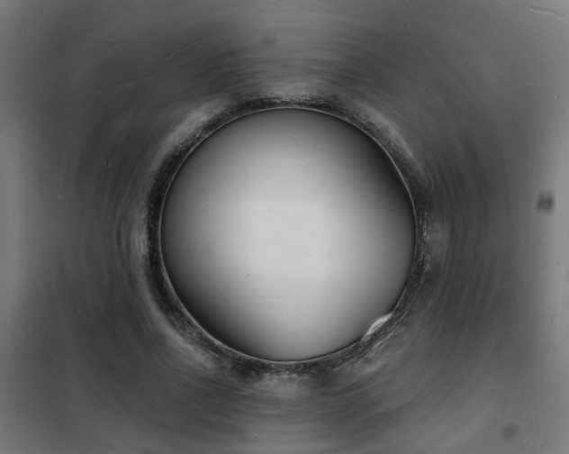 X0000102220734200807251210