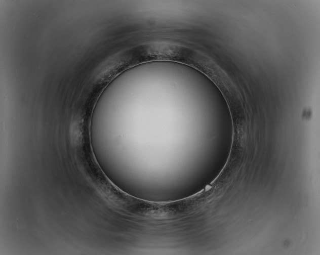 X0000102220735200807251210