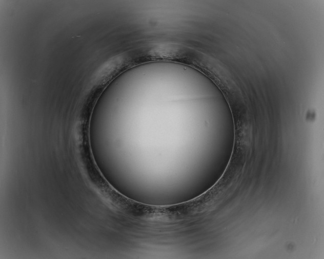 X0000102220738200807251210