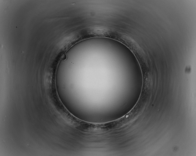 X0000102220739200807251210