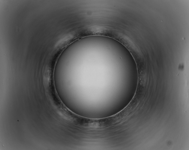 X0000102220740200807251210