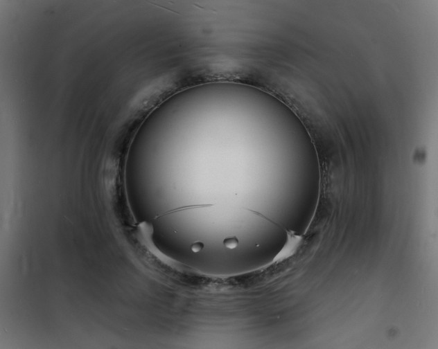 X0000102220742200807251210