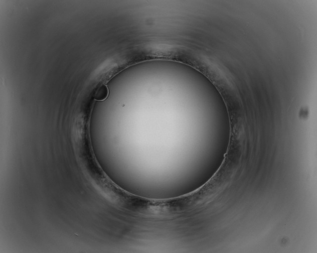 X0000102220744200807251210