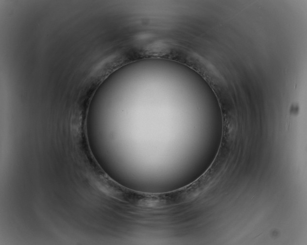 X0000102220745200807251210