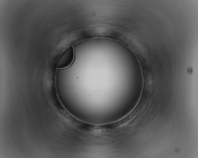 X0000102220746200807251210