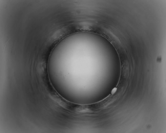 X0000102220747200807251210