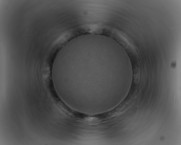 X0000102220748200807251210