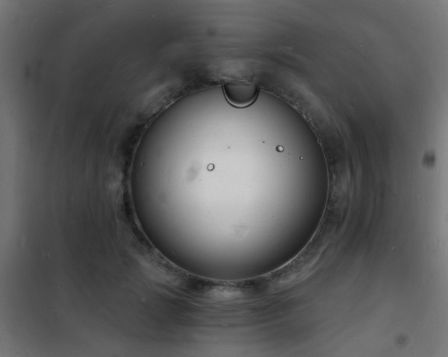 X0000102220749200807251210