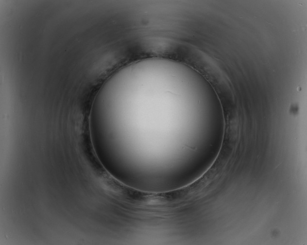 X0000102220750200807251210