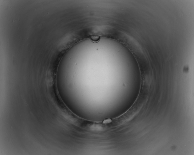 X0000102220751200807251210