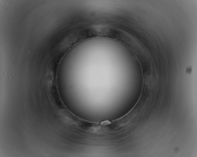 X0000102220752200807251210