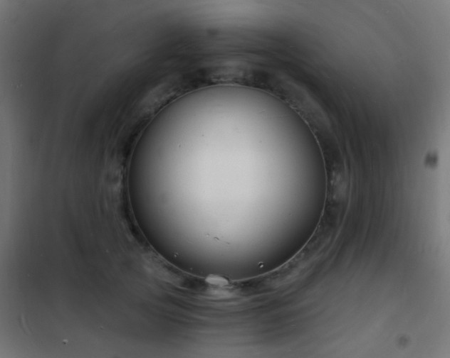 X0000102220753200807251210