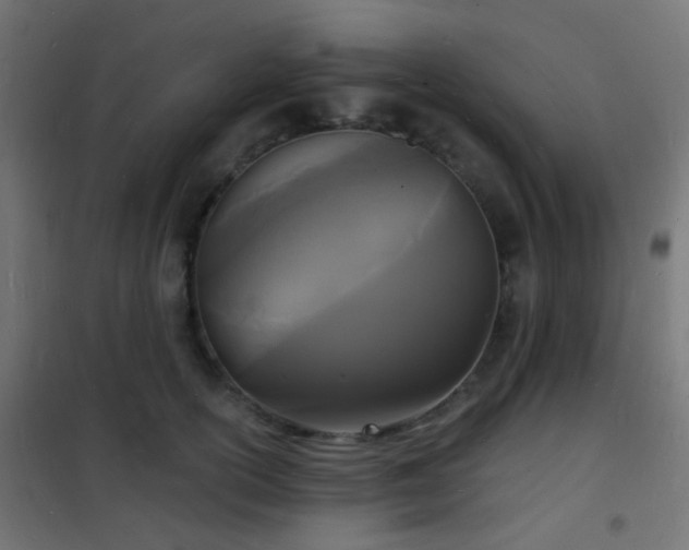 X0000102220754200807251210